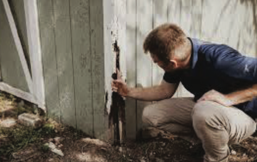 termite damage repair service san diego